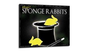 Magic Sponge Rabbits