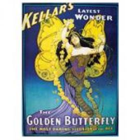Affiche Golden butterfly