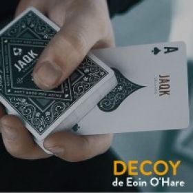 Decoy - Theory11