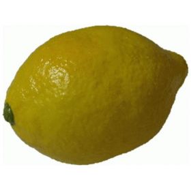 Super Real Latex Lemon