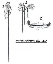 professor's dream