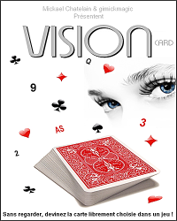 VISION (Mickael Chatelain)