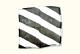 Foulard en soie Zebra 22,5 x 22,5 cm
